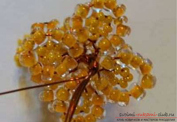 Acacia made from beads. Photo Number 11