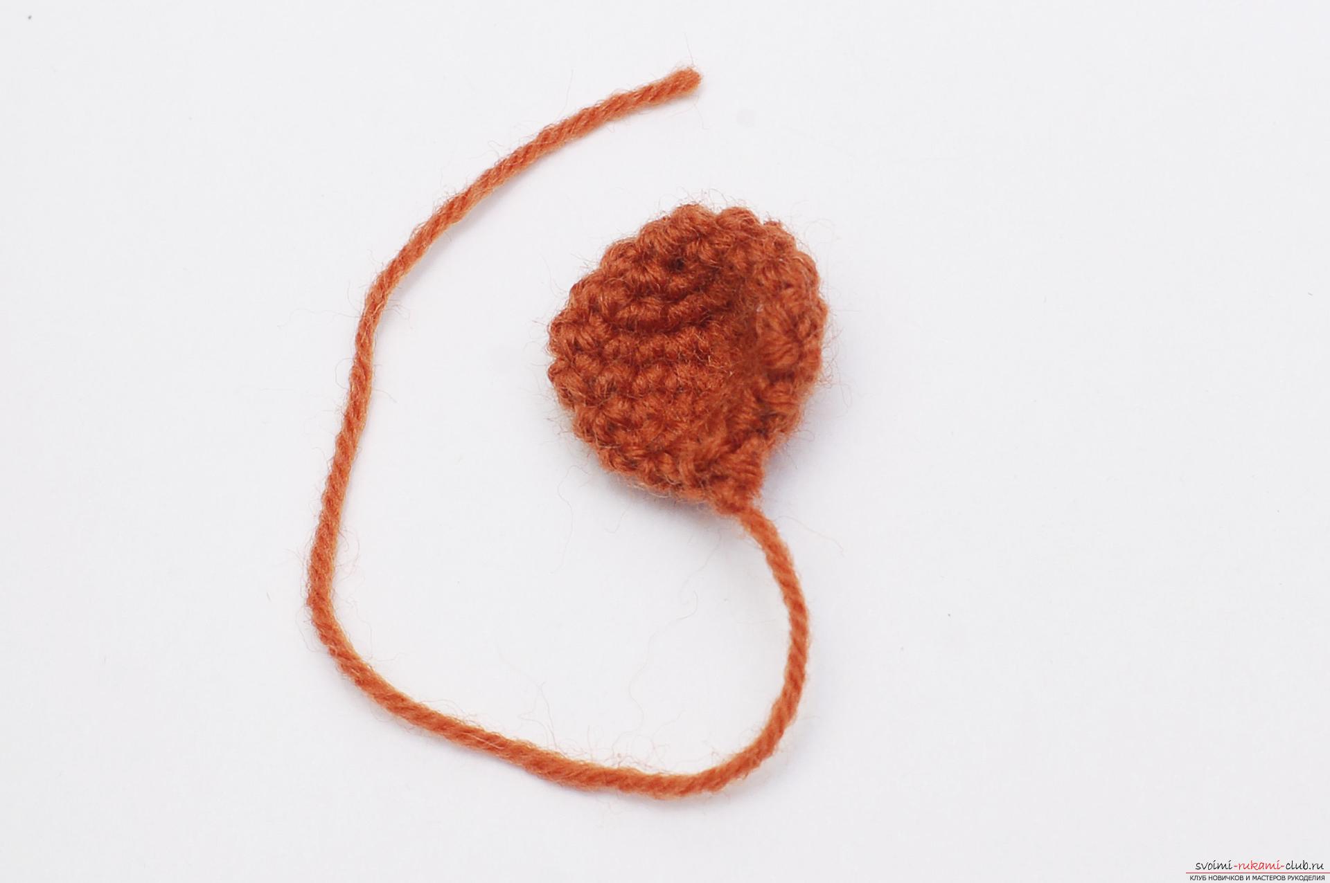 In this master class you will learn how to tie a crochet bean as a gift to the Pope on February 23. Photo # 17