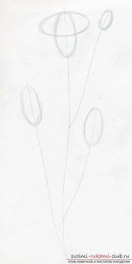 Step-by-step drawing of a carnation with a pencil. Photo # 2