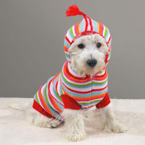 Clothes for dogs, made by own hands. Photos and ideas for choosing clothes .. Picture №3
