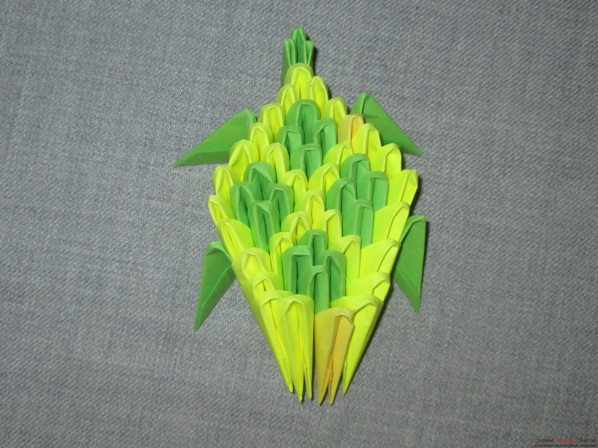 This master class will teach how to make step-by-step modular origami from paper - turtle .. Photo # 6