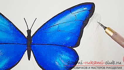 Master class on drawing a butterfly pastel with your own hands. Photo №8