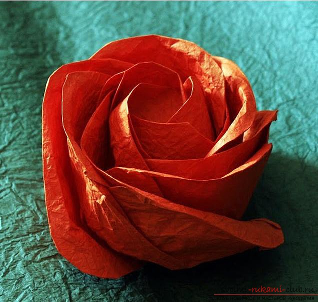 Ideas for origami flowers from paper. Photos of interesting works .. Picture №3