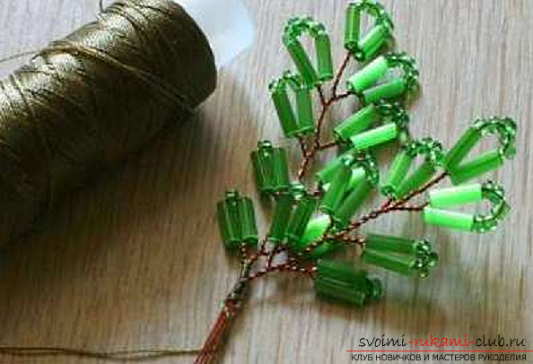 Acacia made from beads. Photo Number 21