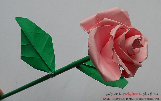 Rose-origami paper. Simple hand-made origami for free .. Picture number 2