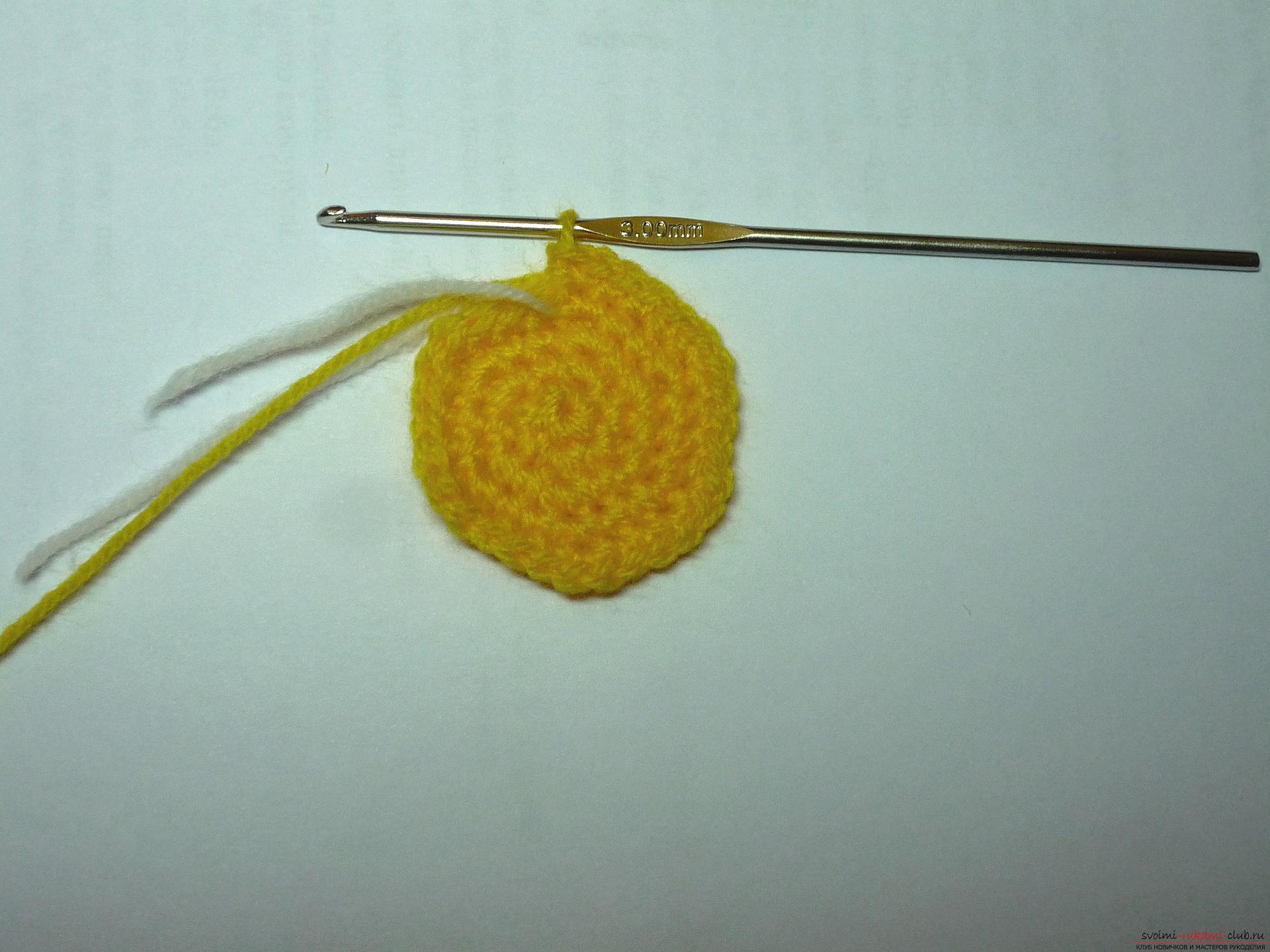 This master class of soft toys will teach crochet teddy bear Amigurumi. Photo # 2