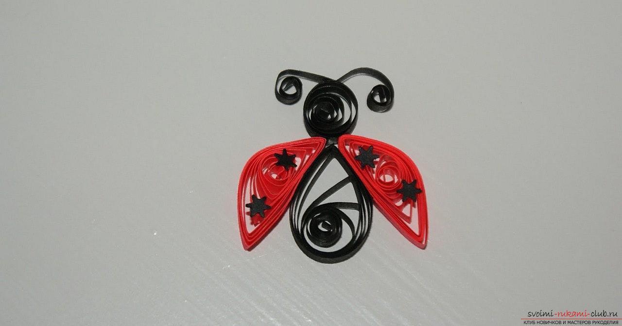 How to make a ladybug in the quilling technique with your own hands - new schemes for work. Photo №6