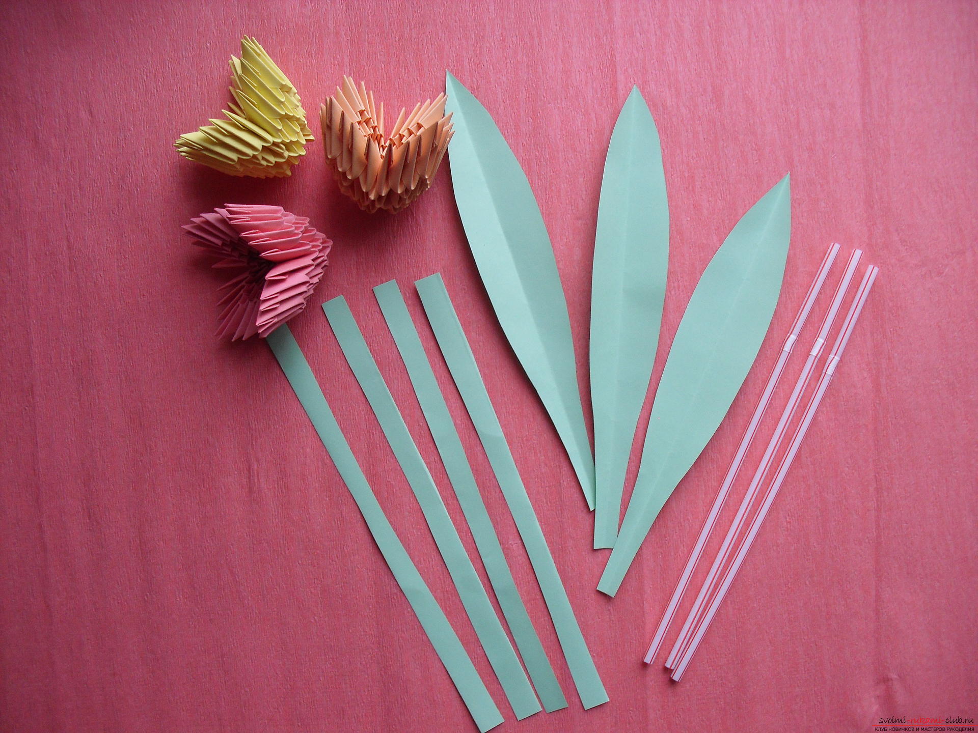 Denne mesterklasse vil lære at lave en vase med tulipaner lavet af papir i teknikken med modulær origami .. Foto # 22