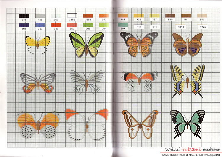 diagramă opțiune fluture