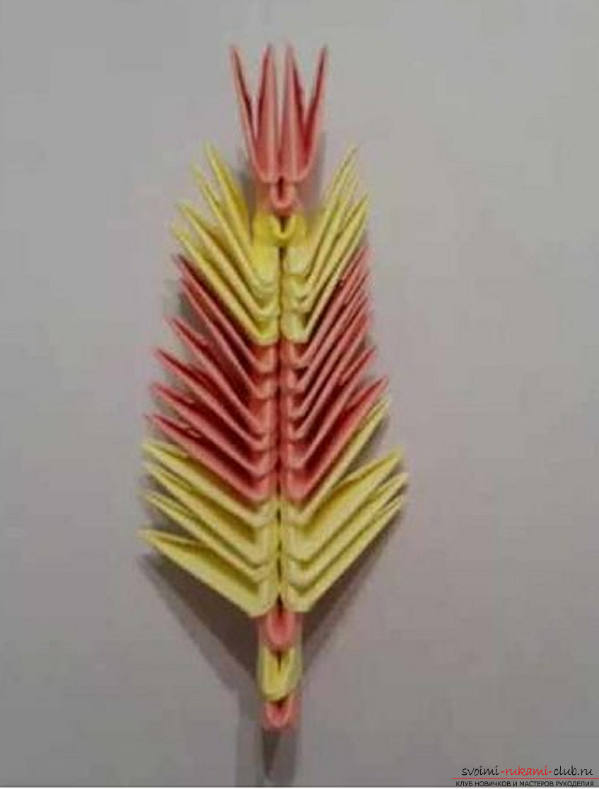 modular origami peacock. Picture №33