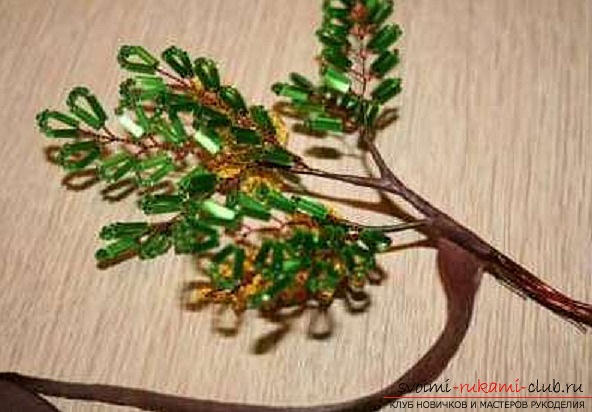 Acacia made from beads. Photo # 24