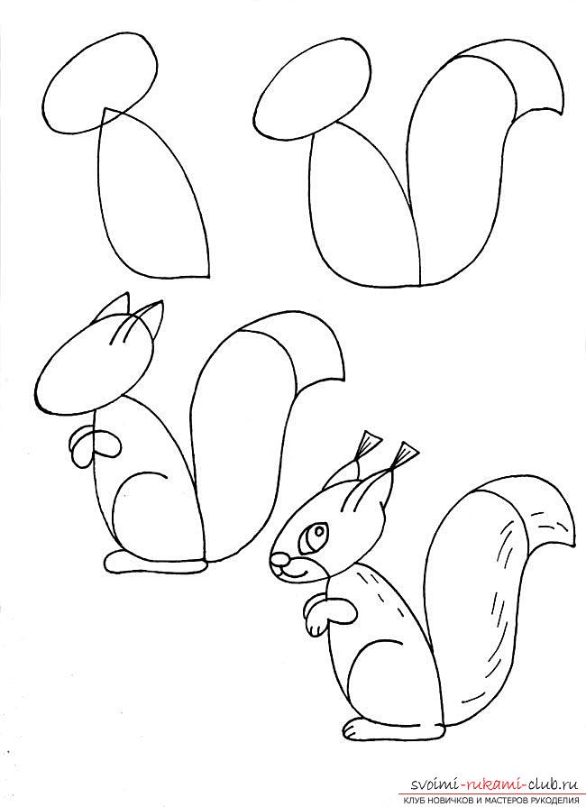 Drawing a squirrel with a pencil. Picture №3