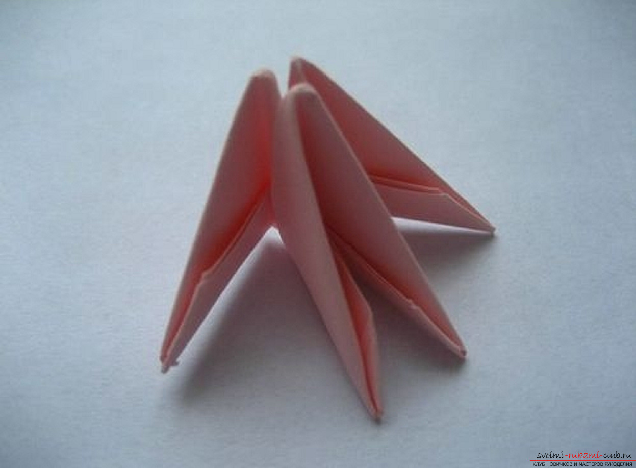 modular origami chamomile. Photo №13