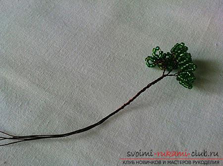 Hoe maak je een bonsai van kralen met je eigen handen met turn-based foto's. Foto №4
