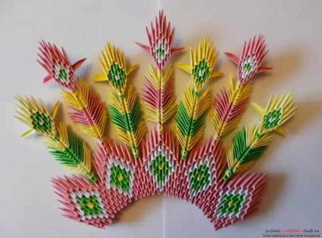 modulaire origami pauw. Fotonummer 36