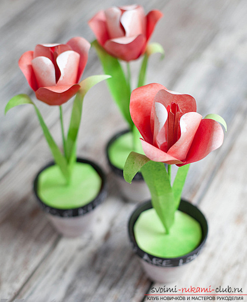How to make paper flowers by yourself? - paper flowers on March 8, specially for the mother .. Photo # 2