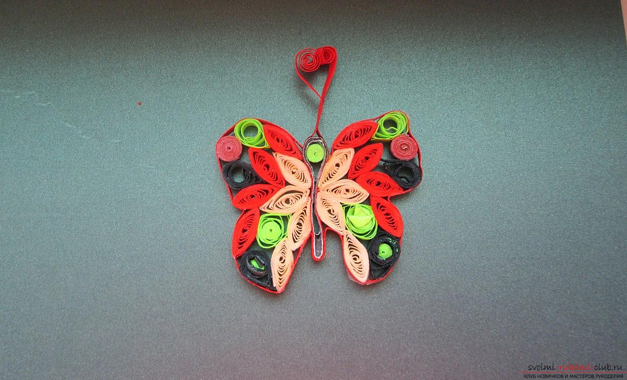 Quilling butterflies - loop quilling and master class with their own hands. Photo №6