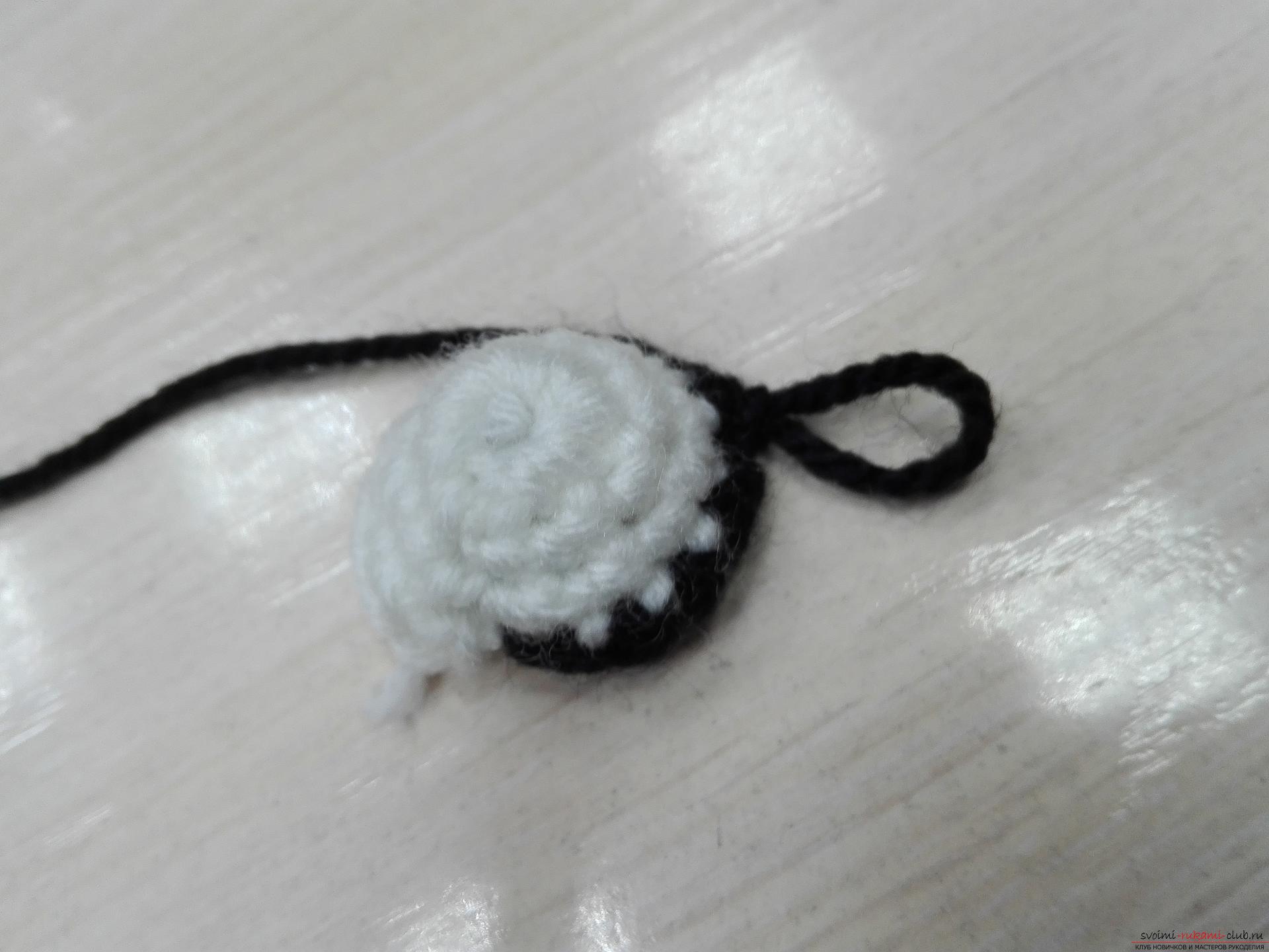 This master class toy itself teach how to tie a zebra crochet. Picture №3