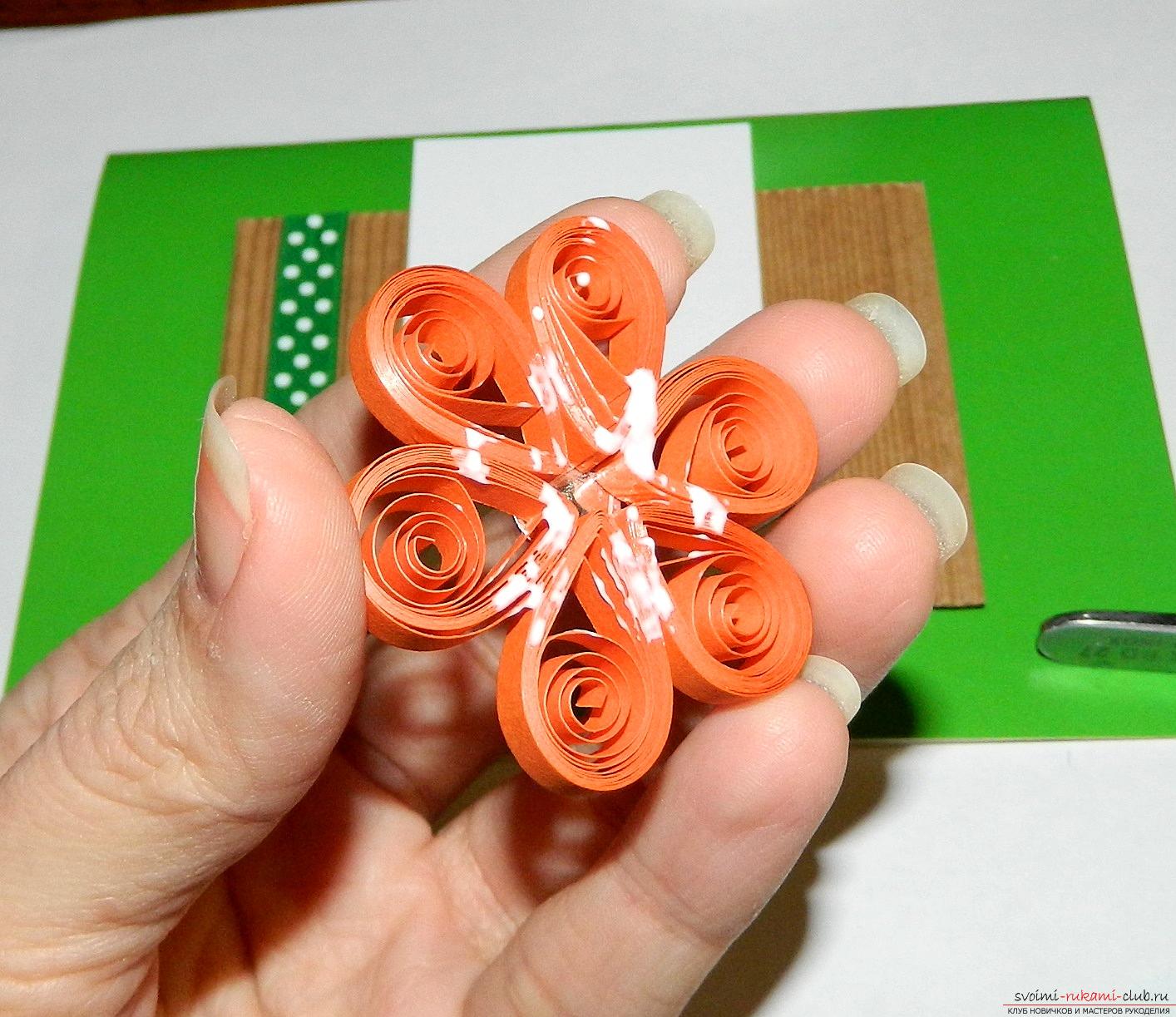 This master class will teach you how to make your own beautiful quilling cards .. Photo # 14