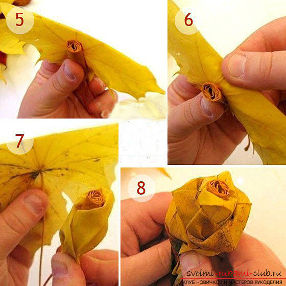 Making roses from maple leaves with their own hands .. Photo # 2