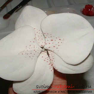 flowers from polymer clay, with their own hands. Photo # 23