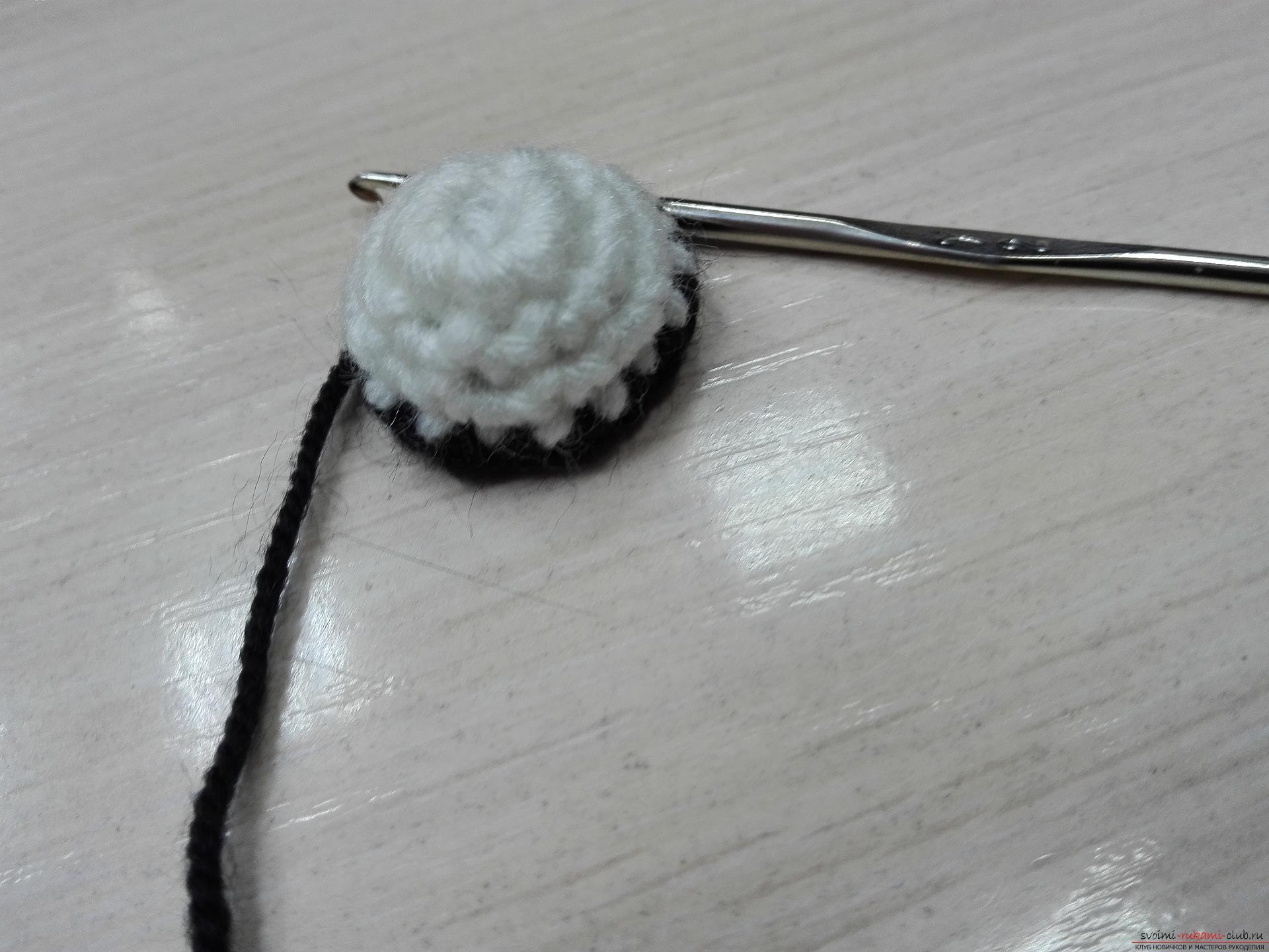 This master class toy itself teach how to tie a zebra crochet. Photo №4