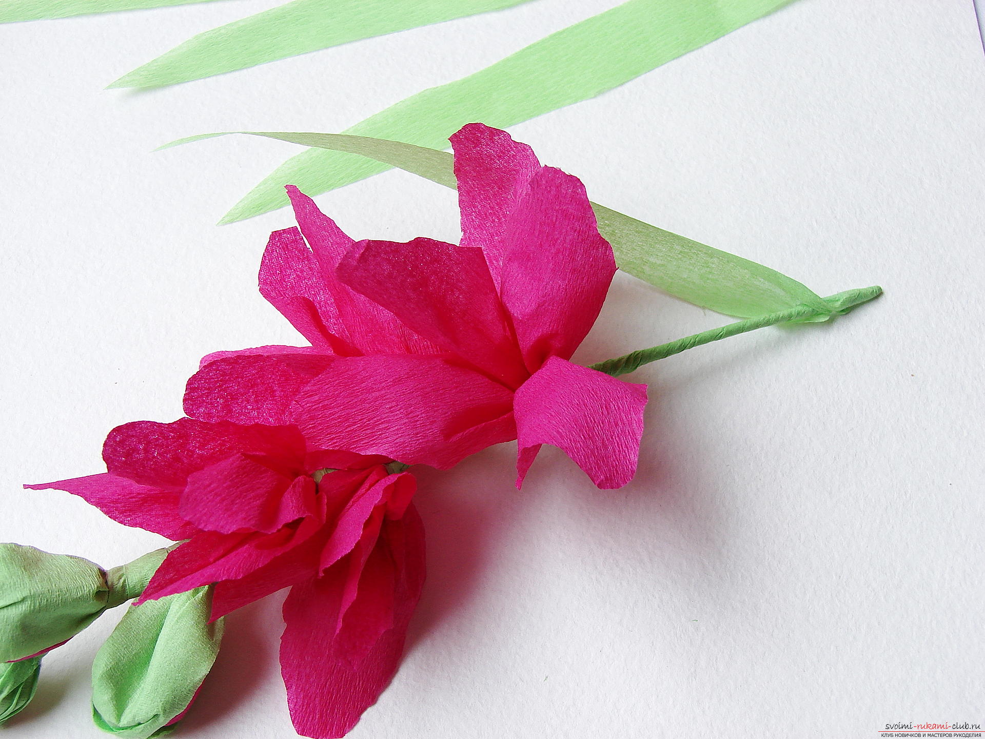 This master class will teach you how to make gladioli flowers from paper with your hands .. Photo # 29