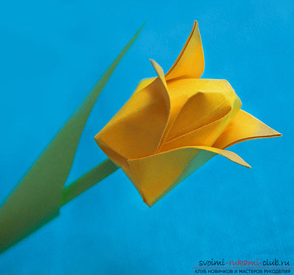 Simple origami tulip made of paper. Photo # 2