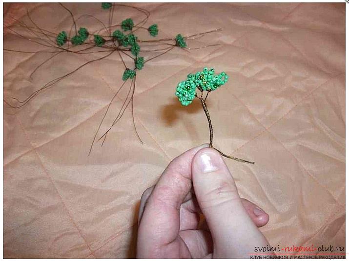 Sådan laver du et bonsai træ med perler med dine egne hænder, flere mesterklasser for at skabe bonsai i forskellige farve løsninger, trinvise fotografier og beskrivelse. Foto №4