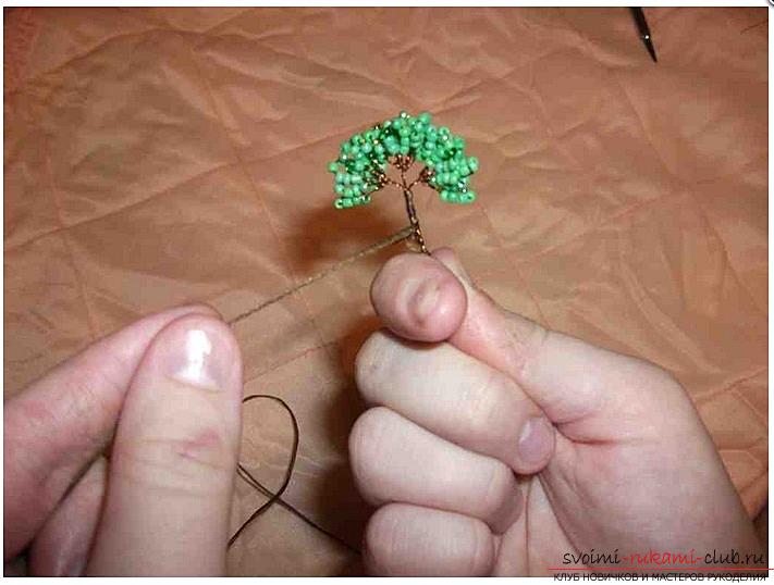 How to make a bonsai tree of beads with your own hands, several master classes of creating bonsai in different color solutions, step-by-step photos and description. Photo №5