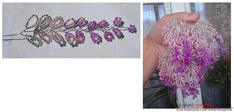 How to weave wisteria from beads, step-by-step photos and a description of the wickerwork of Japanese and Chinese wisteria in loop technique, tips on decorating crafts. Photo №5