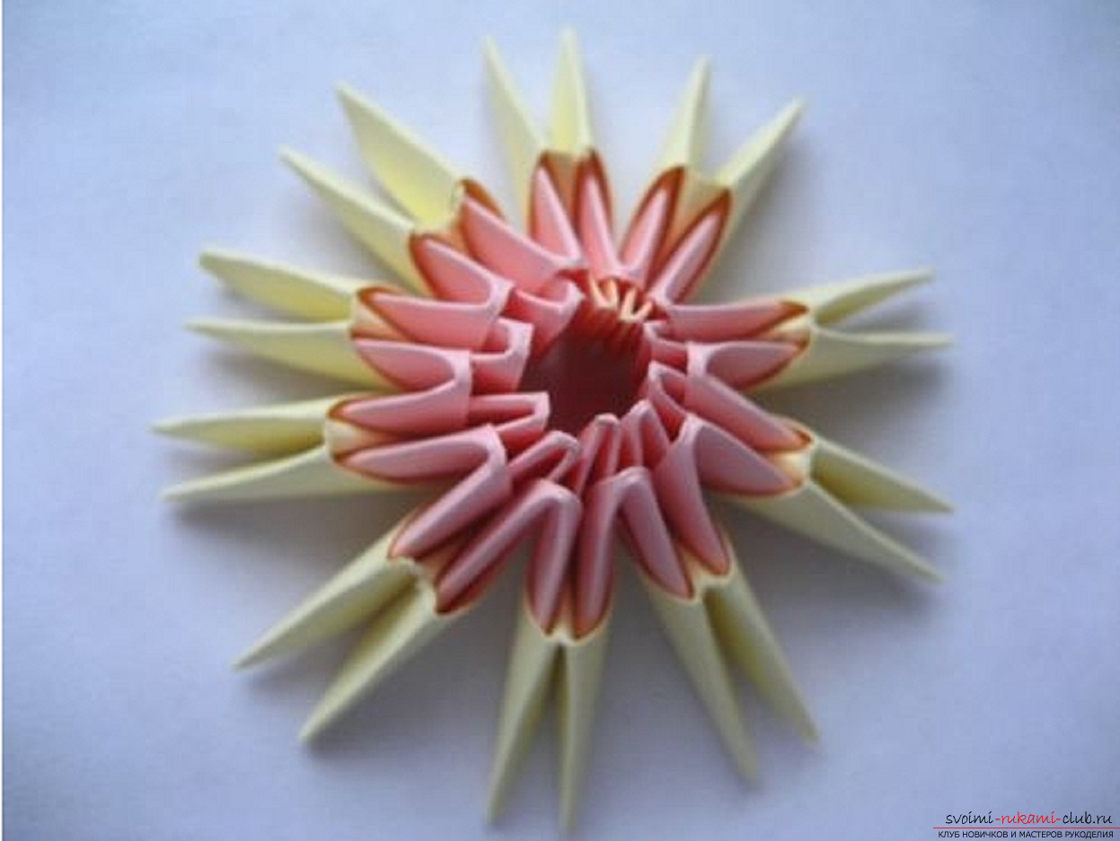 modular origami chamomile. Photo number 16