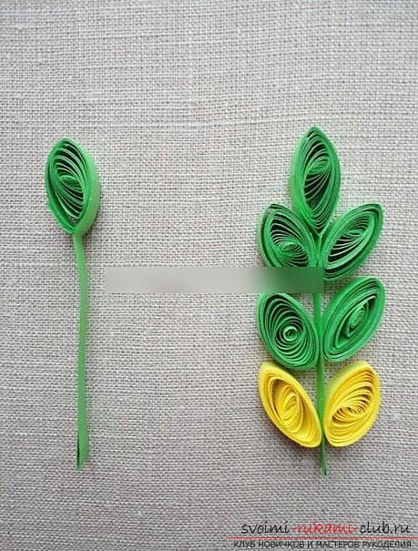 How to make quilling and appliqué for teacher's day? master class of quilling. Photo №6