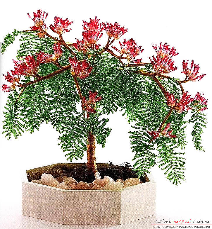 Bonsai con perline con le proprie mani, come tesserealbero di perline, schemi di tessitura di alberi da perline, betulla da perline con le proprie mani, souvenir a spina di pesce da perline, creazione di albition da perline, consigli e raccomandazioni sull'esecuzione delle opere .. Photo # 23