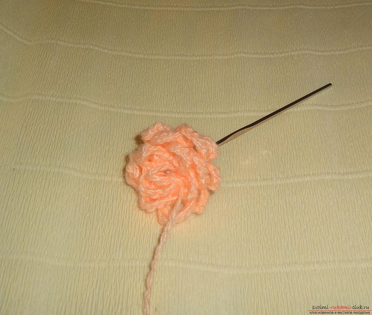 This master class of crochet crochet contains a rose scheme and a description of knitting .. Photo # 23