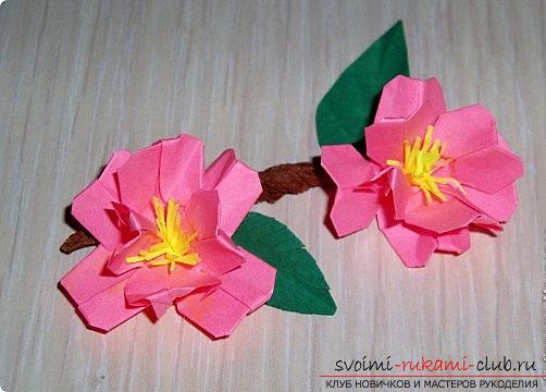 Сакура цветя в оригами техника. Снимка №1