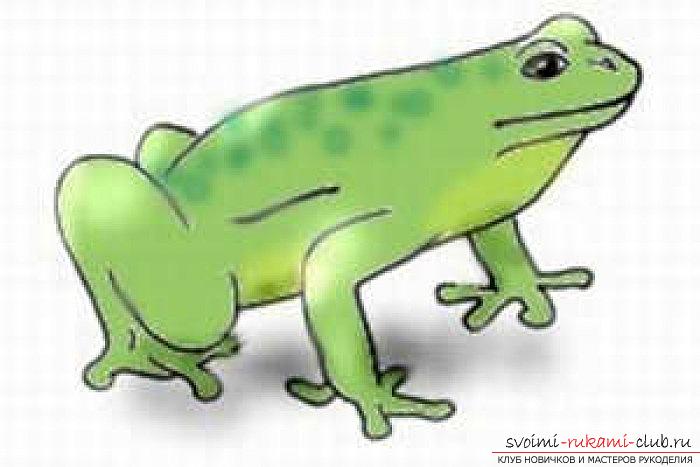 Children's drawings, the image of a frog. Photo №6