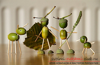 That's what can be made from acorns !. Photo №6