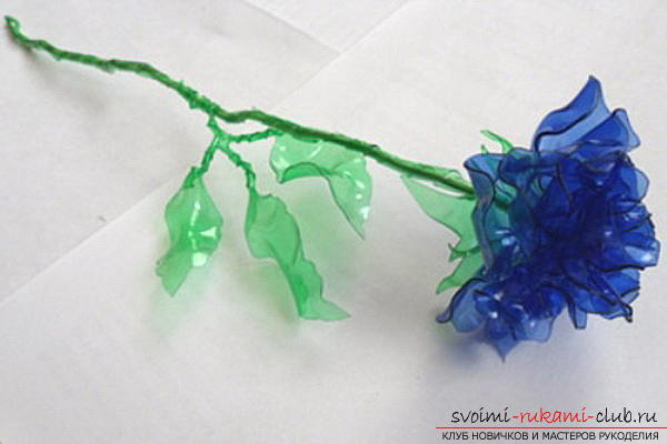 Free master classes on creating flowers from plastic bottles .. Photo # 10