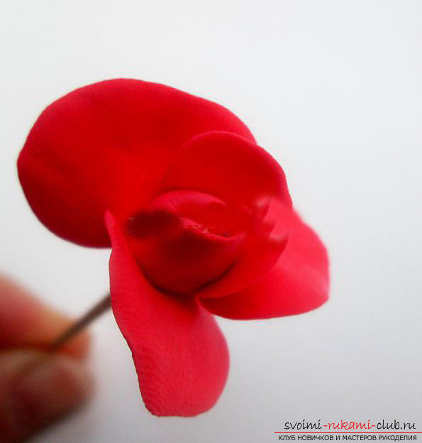 How to make a souvenir with roses in person to the Day of all lovers ?. Picture №10