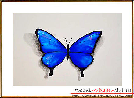 Master class on drawing a butterfly pastel with your own hands. Photo Number 11