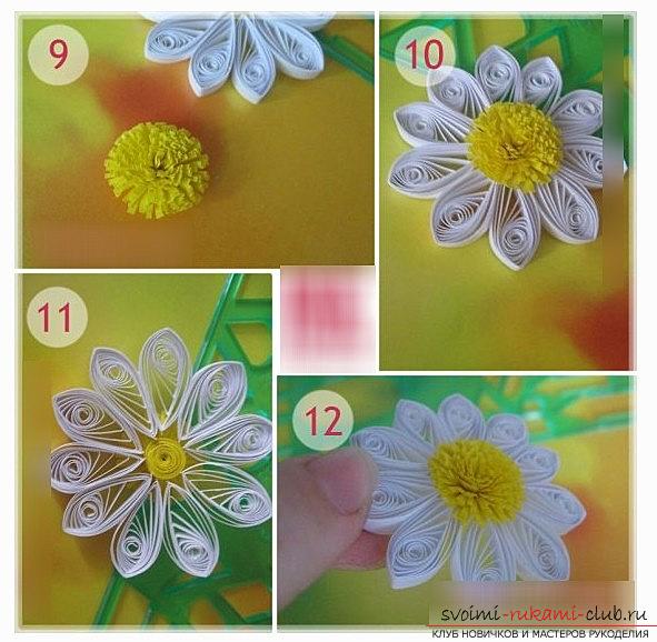 How to make quilling chamomile with fringe with your hands - photo and master class. Photo №4