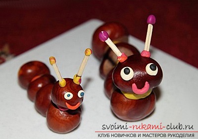 Here's what you can do from chestnuts .. Photo # 6