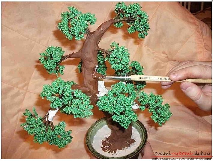 How to make a bonsai tree of beads with your own hands, several master classes of creating bonsai in different color solutions, step-by-step photos and description. Photo Number 11