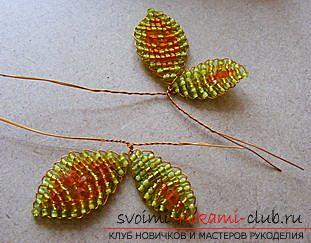 How to make a butterfly from beads according to the scheme? Hand-made beadwork. Photo # 2