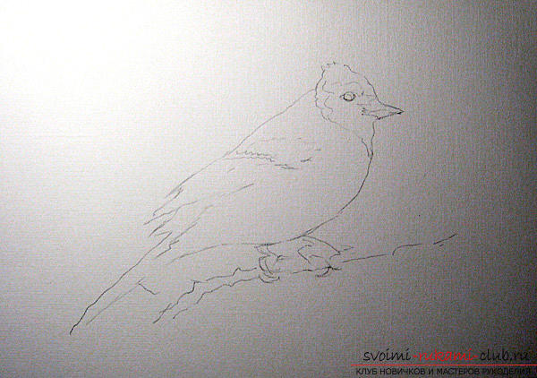 Drawing a watercolor bird. Photo №1
