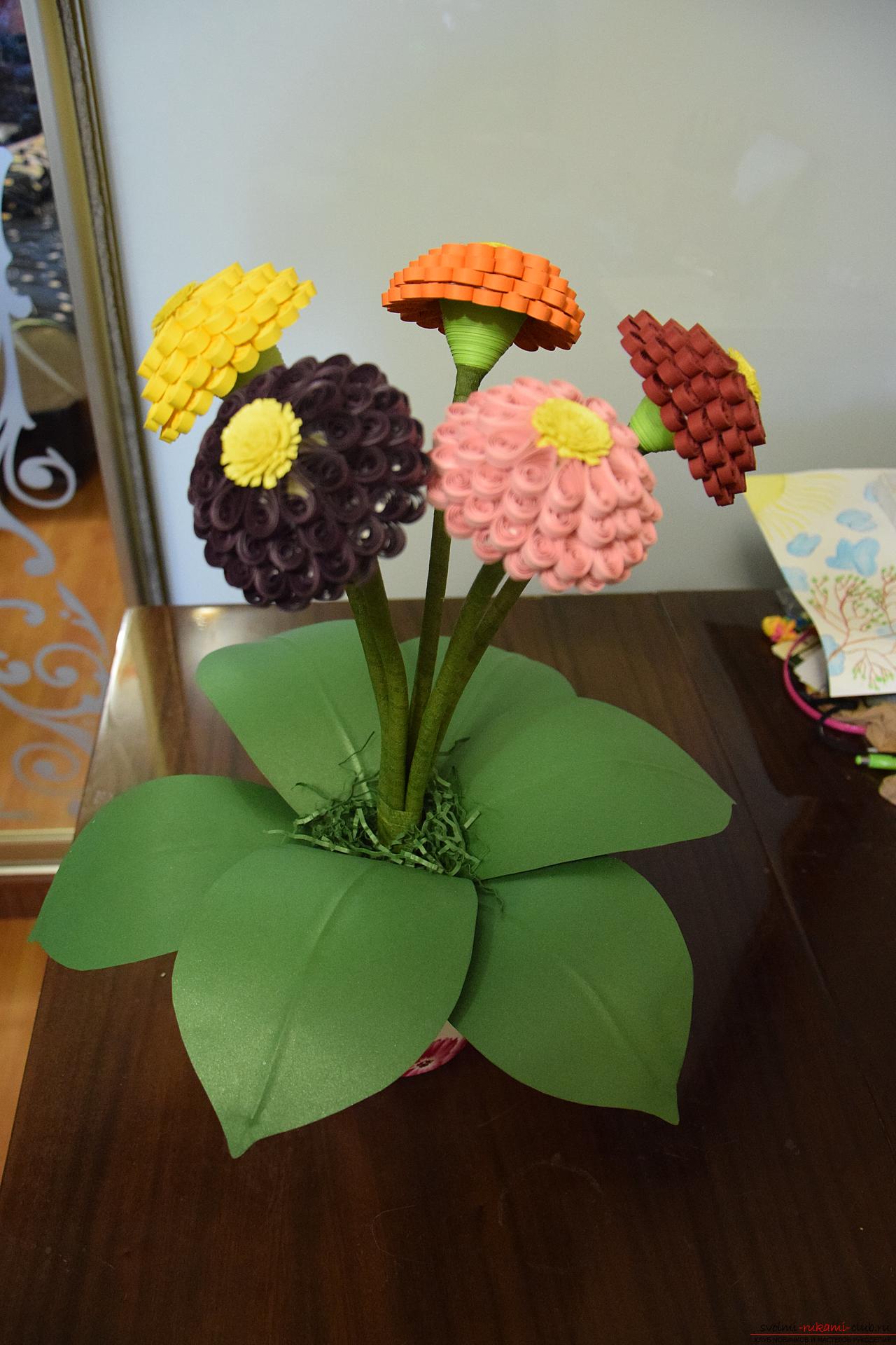 Three-dimensional flowers from quilling. Photo # 2
