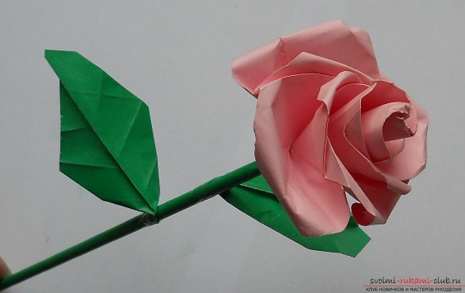 Paper rose in origami technique. Photo №1