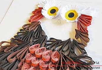 The decoration of the owl's quilling for a postcard on the teacher's day is a master class. Photo №6