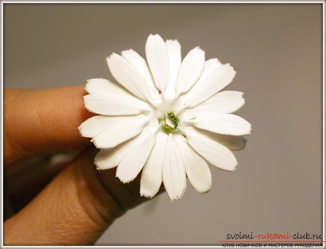 Master classes on the creation of bouquets of polymer clay with a description and photos .. Photo №15